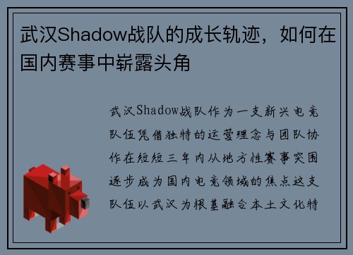 武汉Shadow战队的成长轨迹，如何在国内赛事中崭露头角