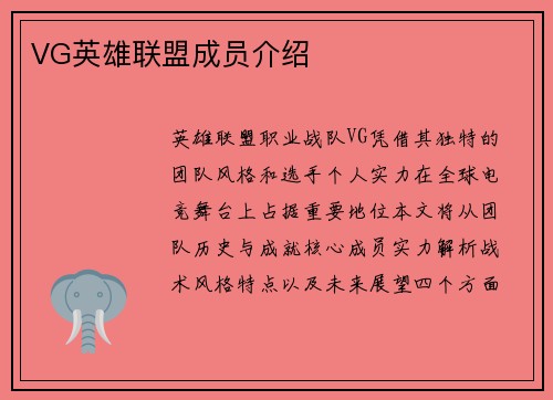 VG英雄联盟成员介绍
