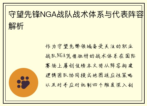 守望先锋NGA战队战术体系与代表阵容解析