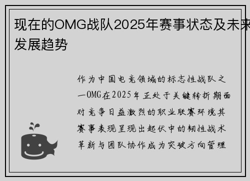 现在的OMG战队2025年赛事状态及未来发展趋势
