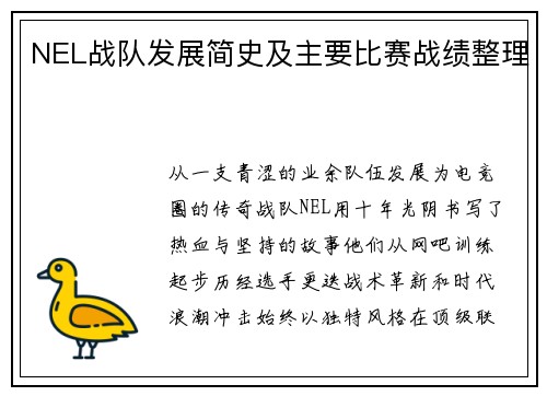 NEL战队发展简史及主要比赛战绩整理